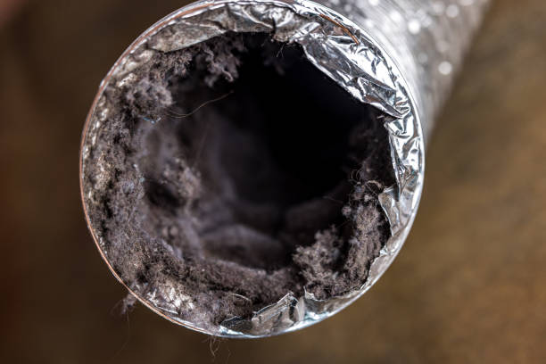 Best Best Air Duct Cleaning Company  in Lumbine Valley, CO