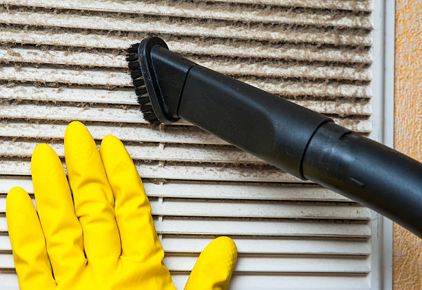Best Local Air Duct Cleaning Services  in Lumbine Valley, CO